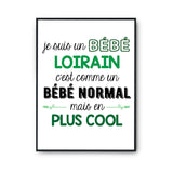 Affiche fier d'être Loirain - Planetee