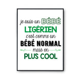 Affiche fier d'être Ligérien - Planetee