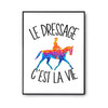 Affiche Dressage c'est la vie Chevaux - Planetee