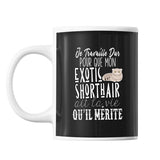 Mug Chat Exotic Shorthair Je travaille dur - Planetee