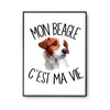 Affiche Beagle c'est la vie Chien - Planetee