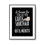 Affiche Chat Exotic Shorthair Je travaille dur - Planetee