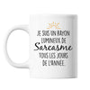 Mug Sarcasme toute l'année - Planetee
