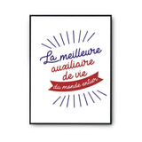 Affiche Auxiliaire de vie Femme Métier Meilleure du Monde entier - Planetee