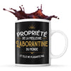 Mug noir Propriété de la Meilleure Laborantine - Planetee